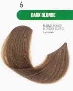 رنگ مو بدون آمونیاک گارنیک 6.0 بلوند تیره DARK BLOND GARNIC - تصویر 2