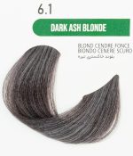 رنگ مو بدون آمونیاک گارنیک6.1 بلوند خاکستری تیره DARK ASH BLONDE GARNIC - تصویر 2