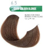 رنگ مو بدون آمونیاک گارنیک 6.5 بلوند طلایی تیره DARK GOLDEN BLONDE GARNIC - تصویر 2