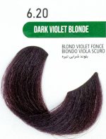 رنگ مو بدون آمونیاک گارنیک 6.20 بلوند شرابی تیره DARK VIOLET BLONDE GARNIC - تصویر 2